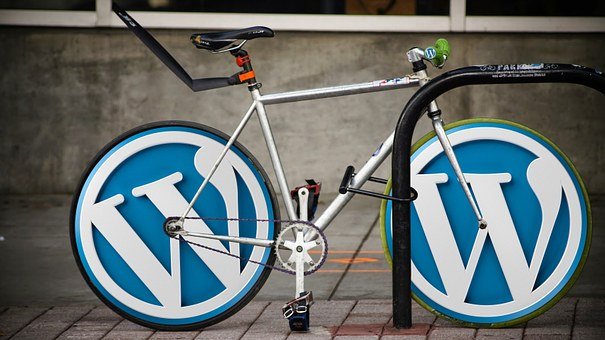 Wordpress, Wordpress Logo, Icon, Word